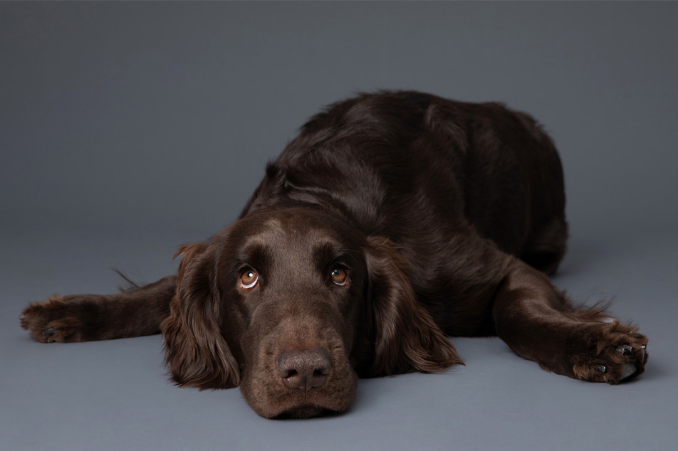 PHOTO SALON Kの画像