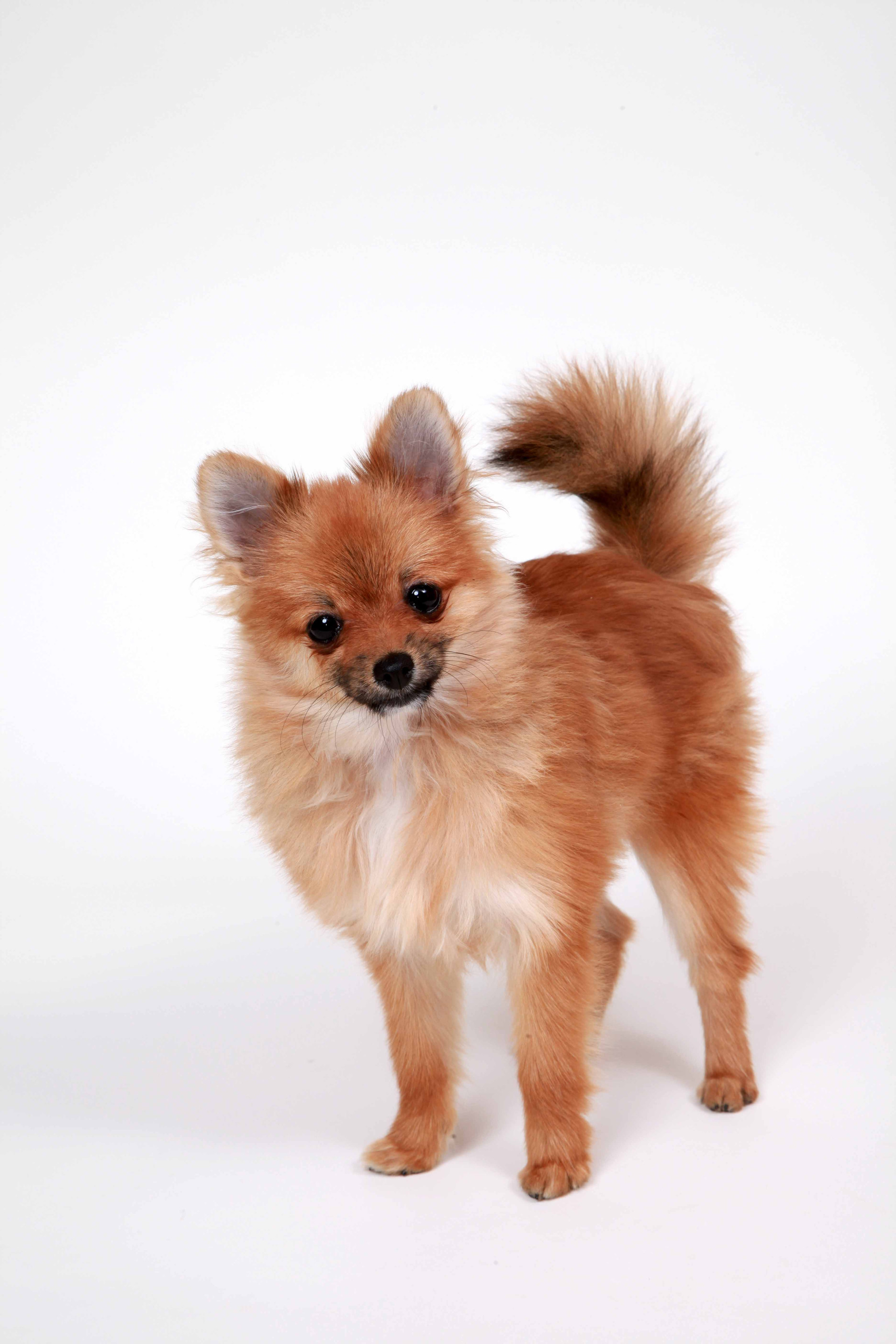 studio Jのメイン画像