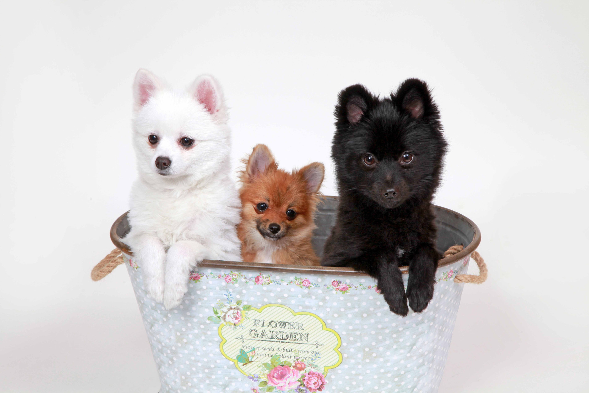 studio Jのメイン画像