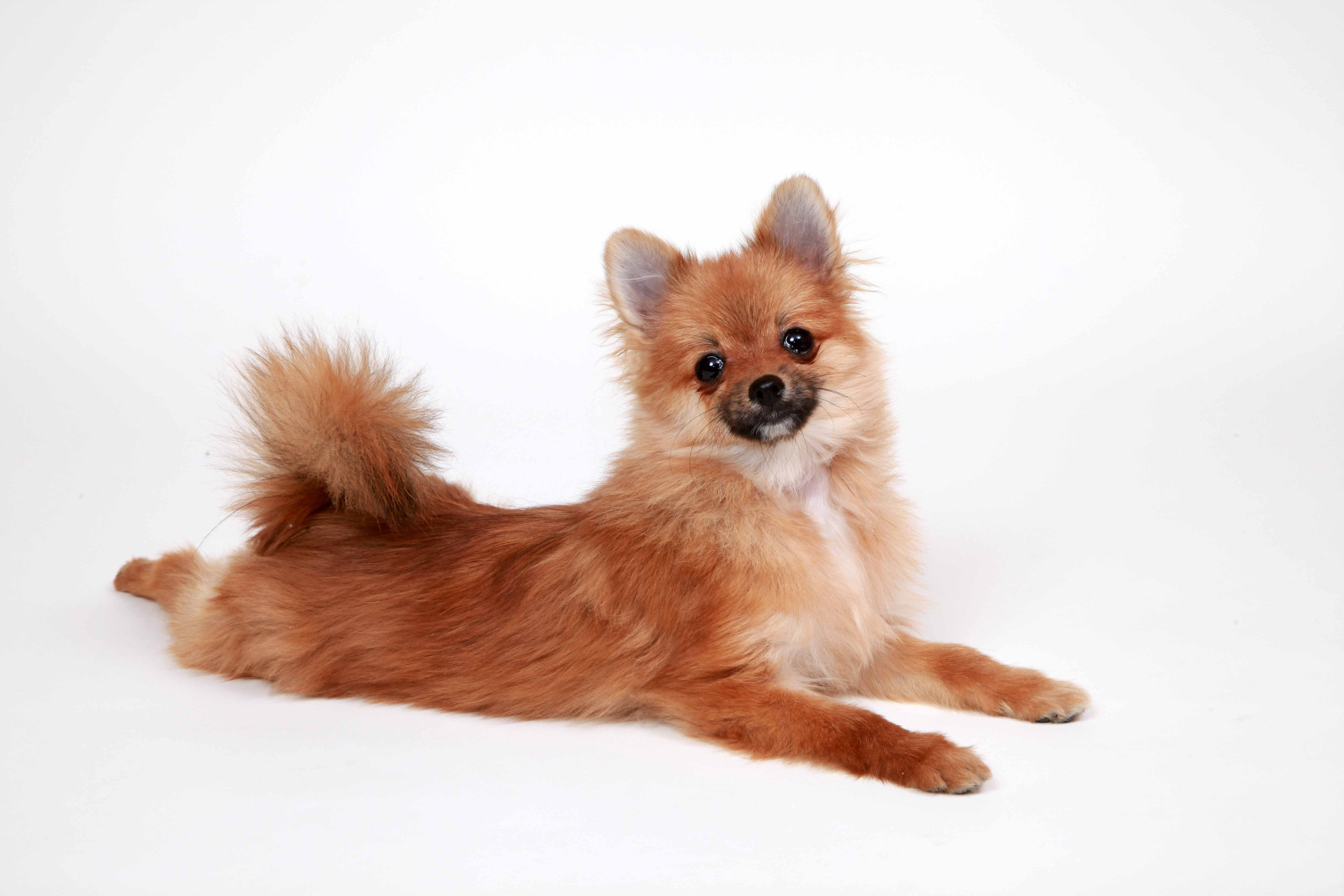 studio Jのメイン画像