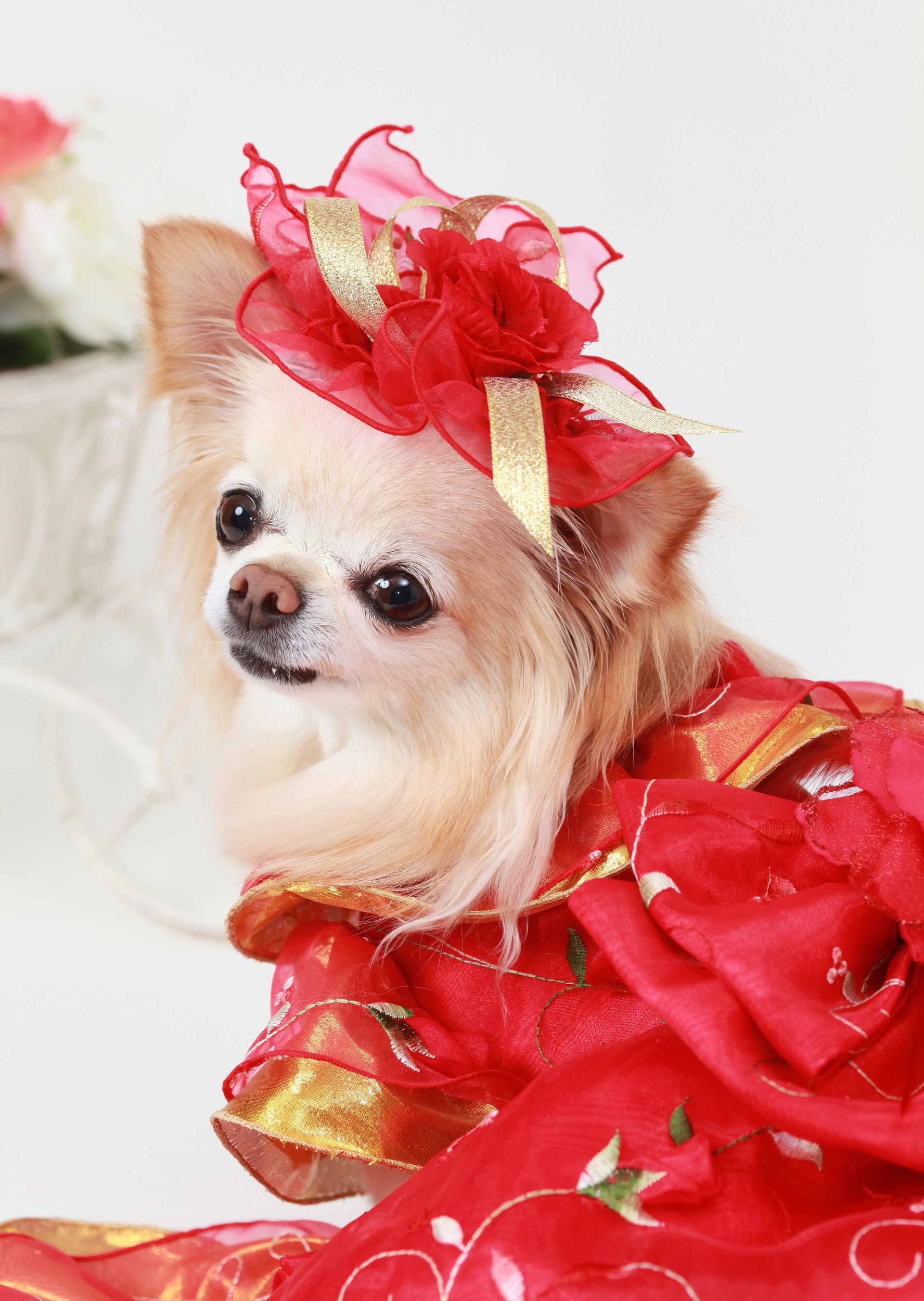 studio Jのメイン画像