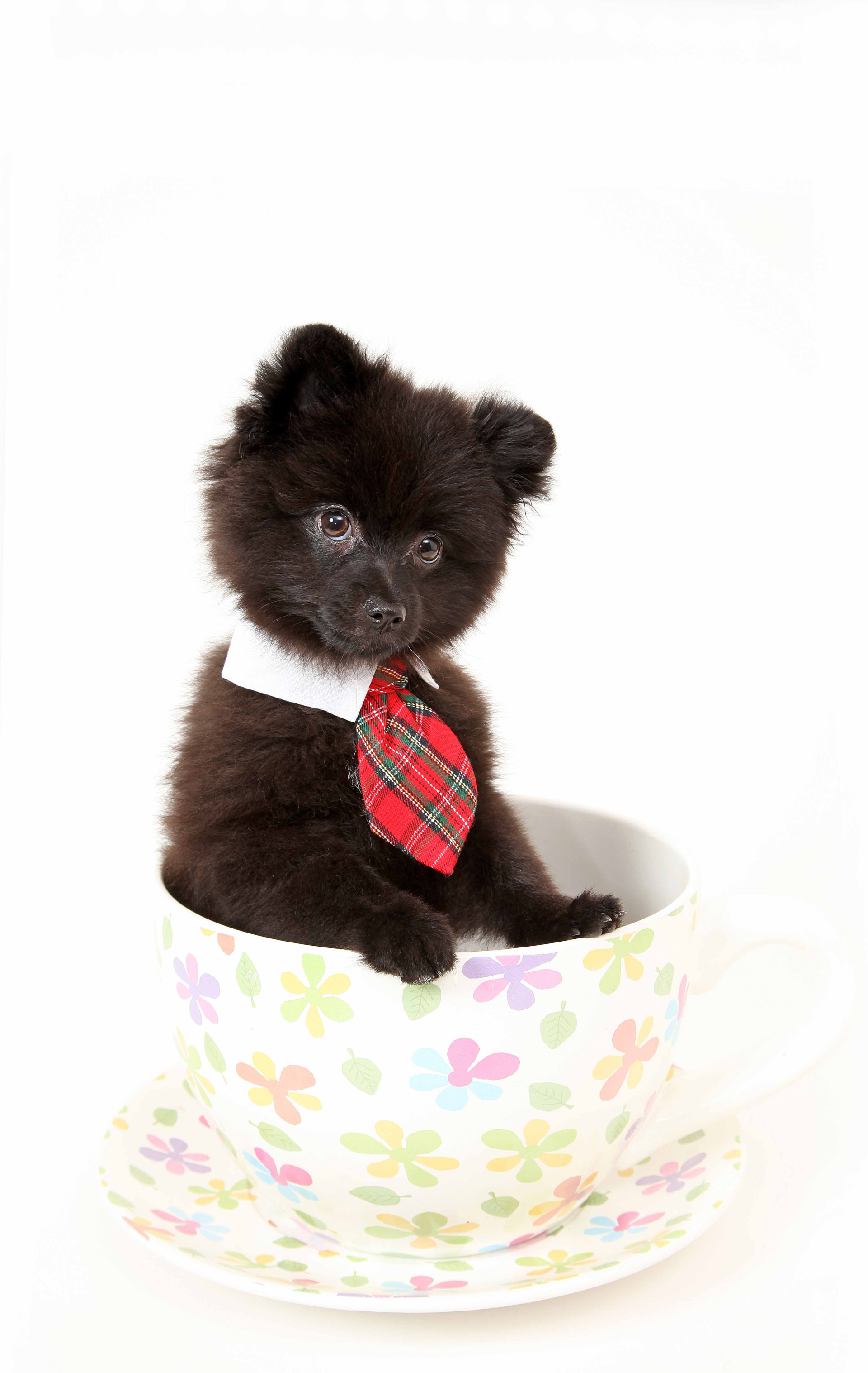 studio Jのメイン画像