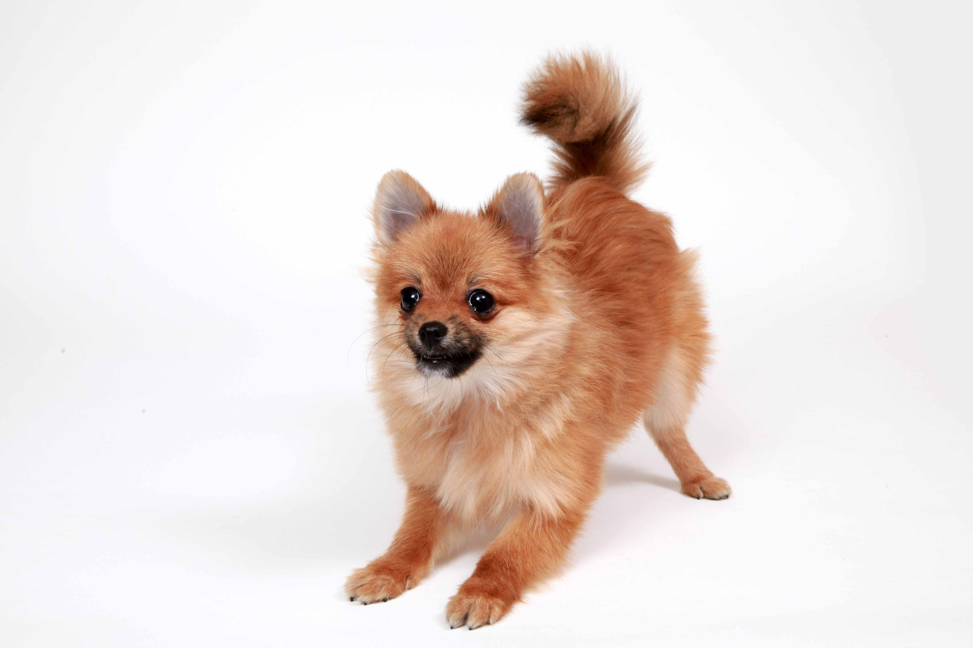 studio Jのメイン画像