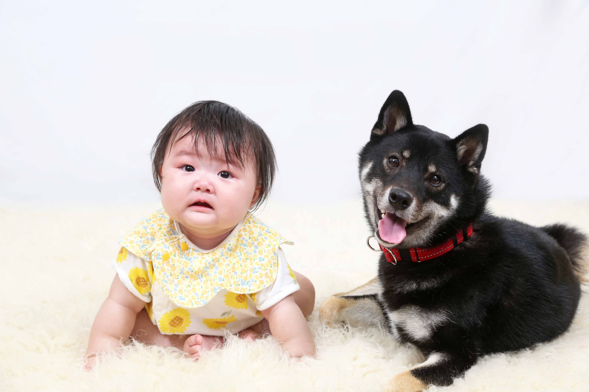 studio Jのメイン画像