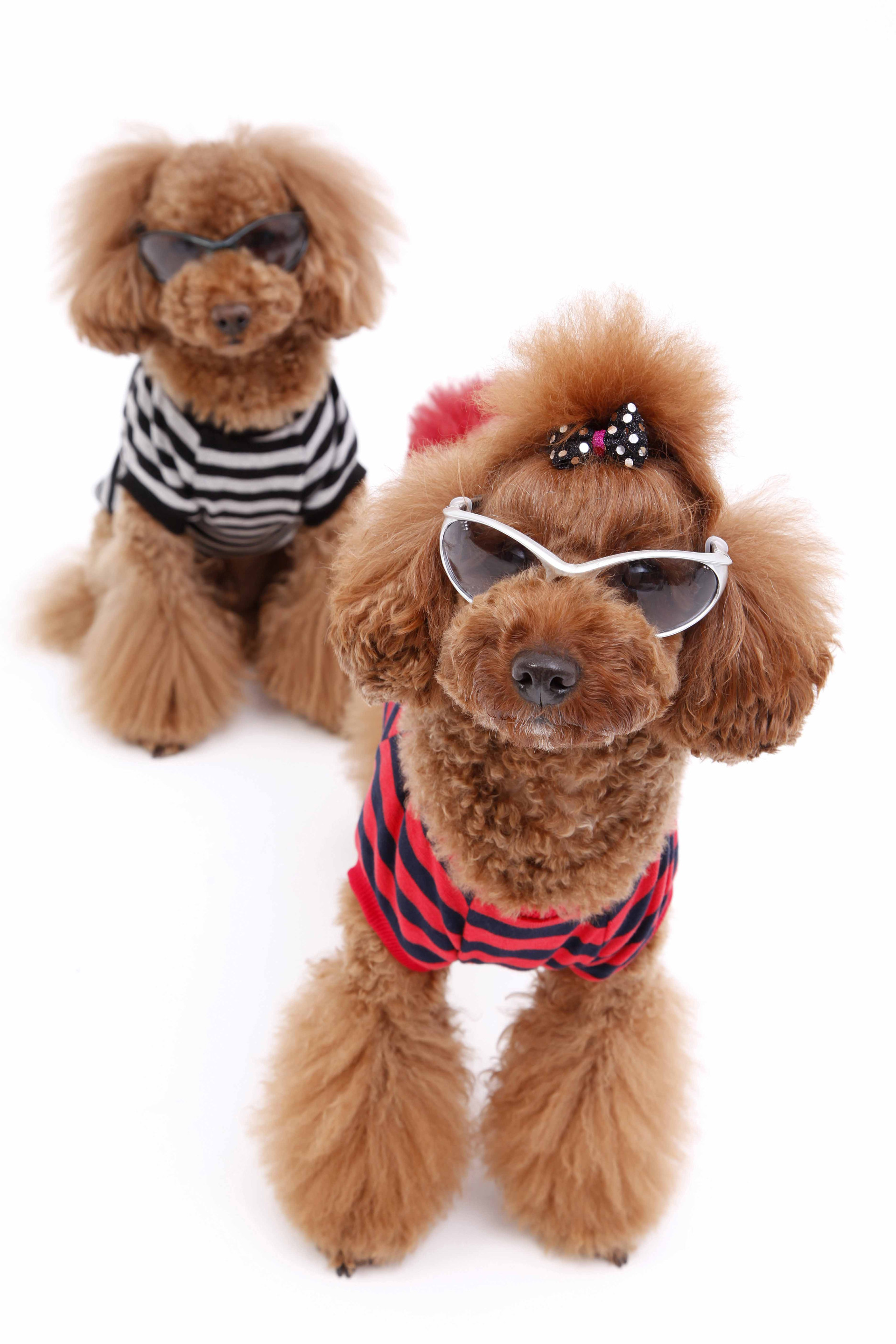 studio Jのメイン画像