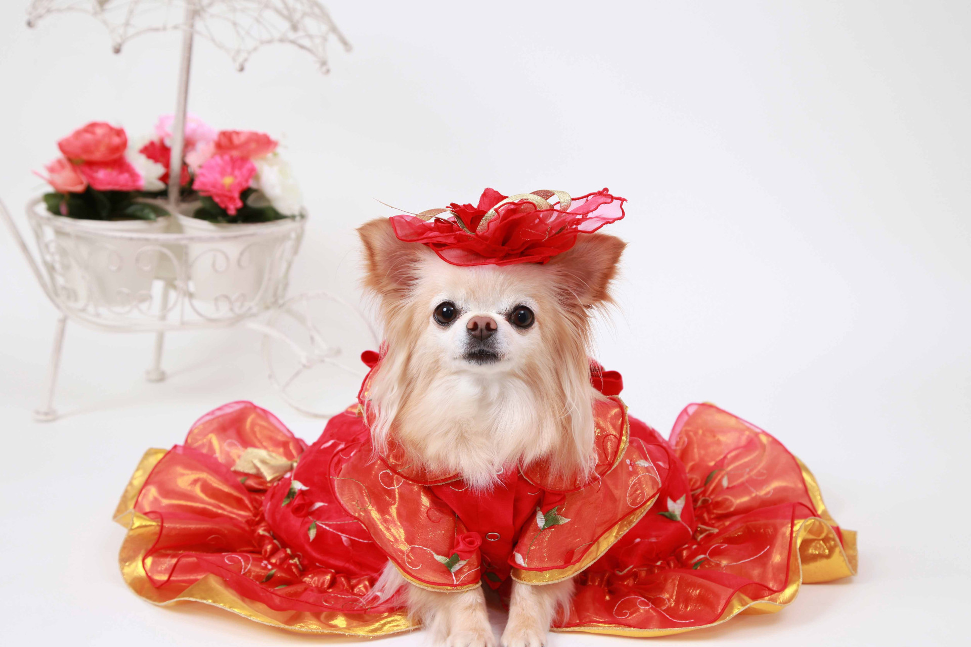 studio Jのメイン画像