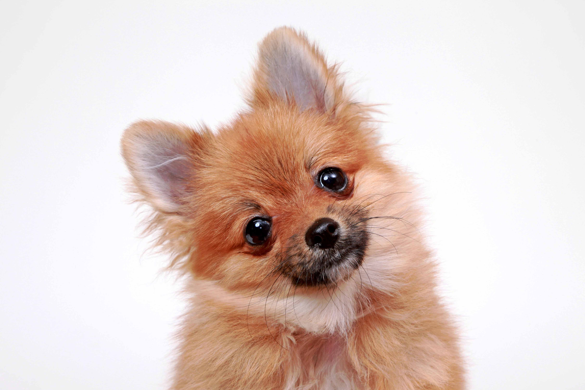 studio Jのメイン画像