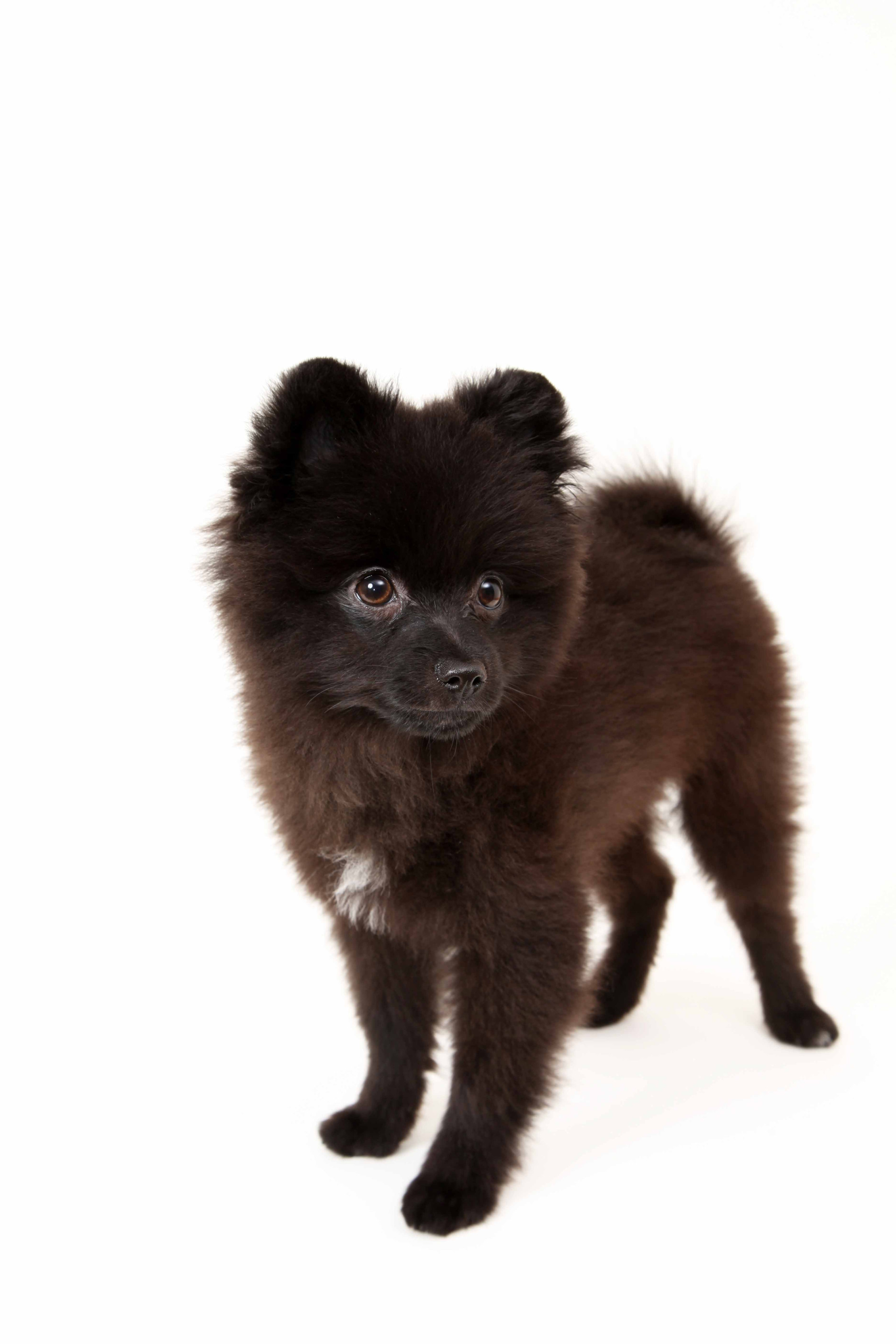 studio Jのメイン画像