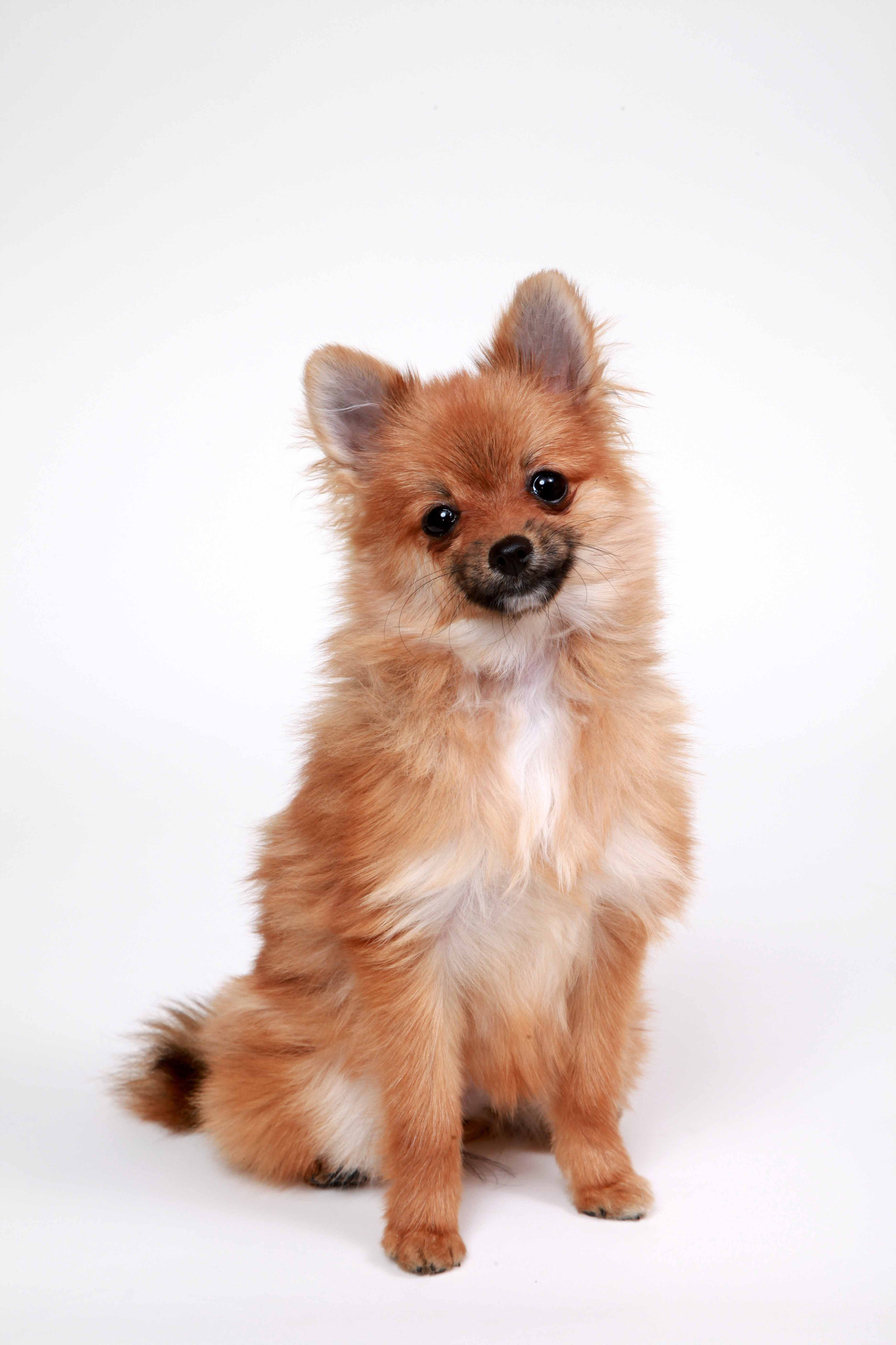 studio Jのメイン画像