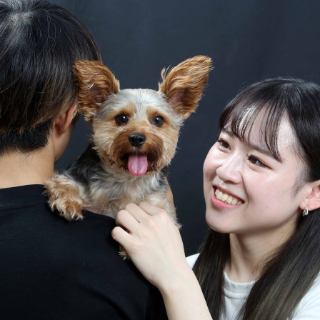 studio Jの画像