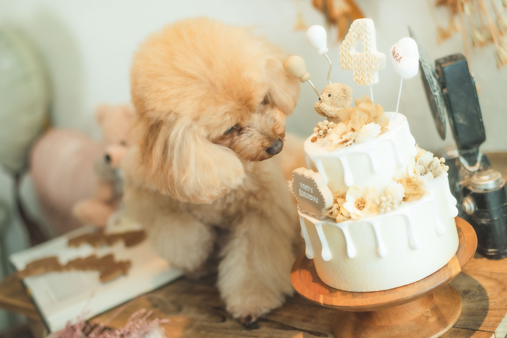 写真スタジオおかげさまのメイン画像