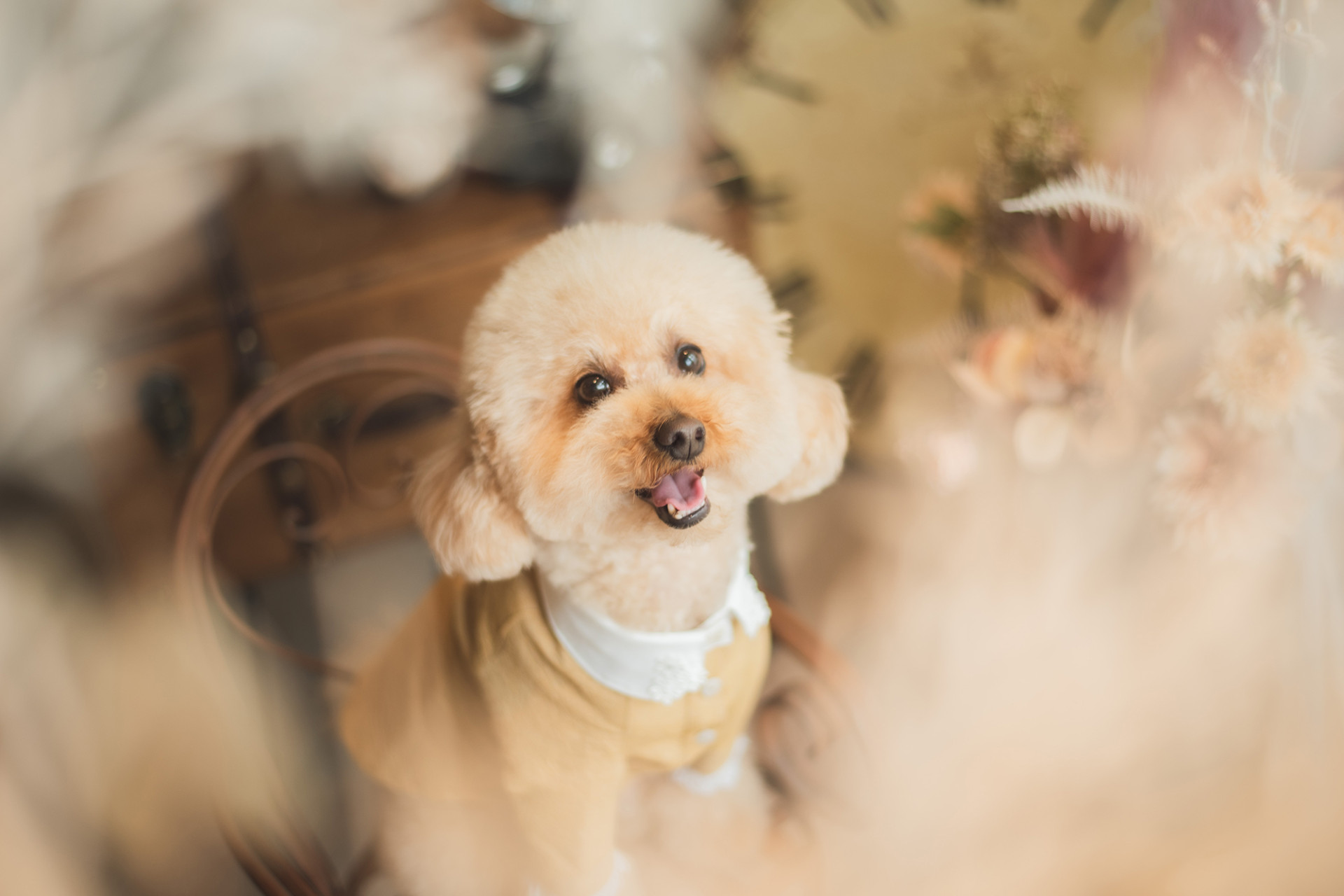 写真スタジオおかげさまのメイン画像