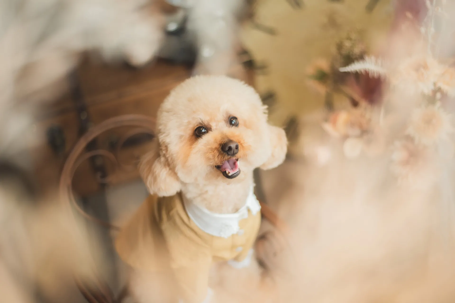 写真スタジオおかげさまのメイン画像