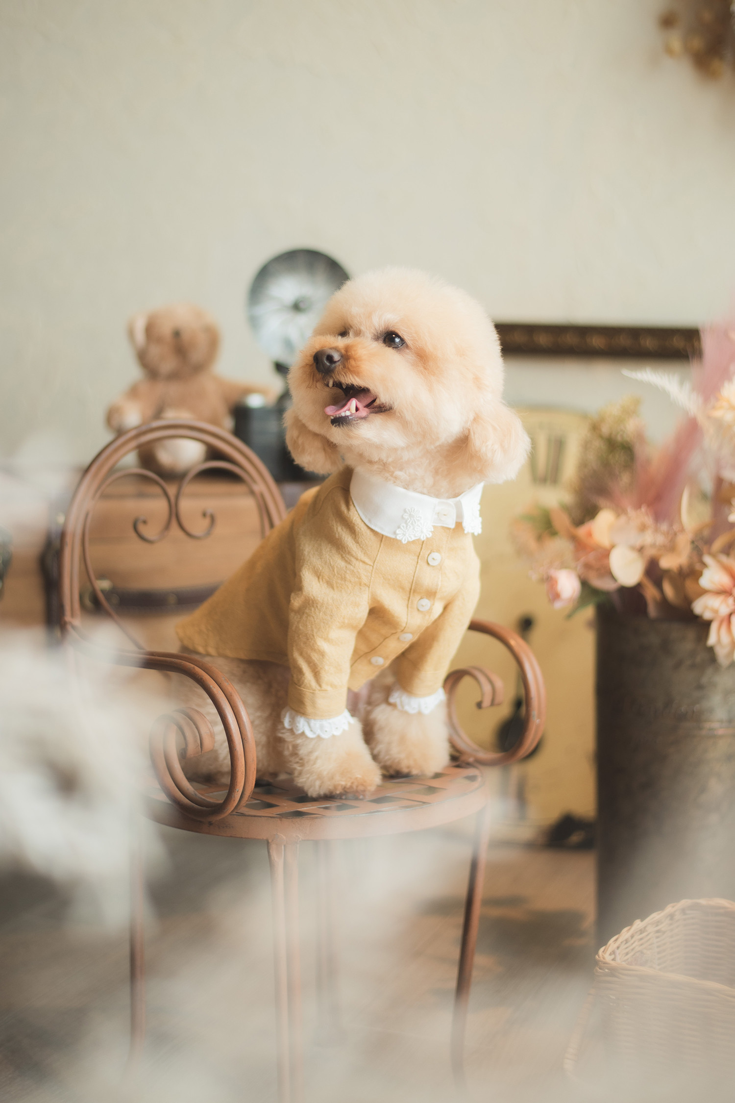 写真スタジオおかげさまのメイン画像