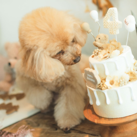 写真スタジオおかげさまの画像