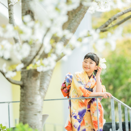 写真スタジオおかげさまの画像