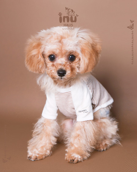 韓国式家族写真フォトスタジオ バタフライハウスなんばの画像