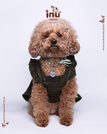 韓国式家族写真フォトスタジオ バタフライハウスなんばの画像