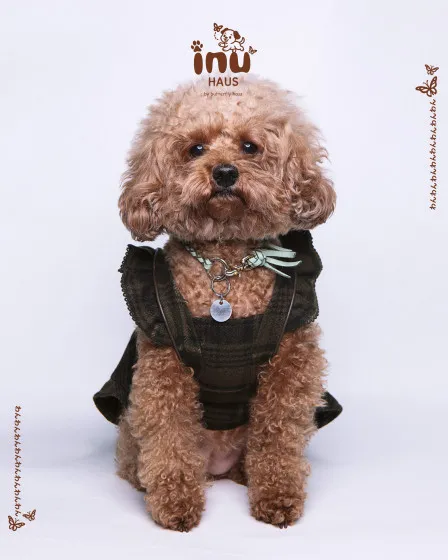 韓国式家族写真スタジオ バタフライハウスなんばの画像