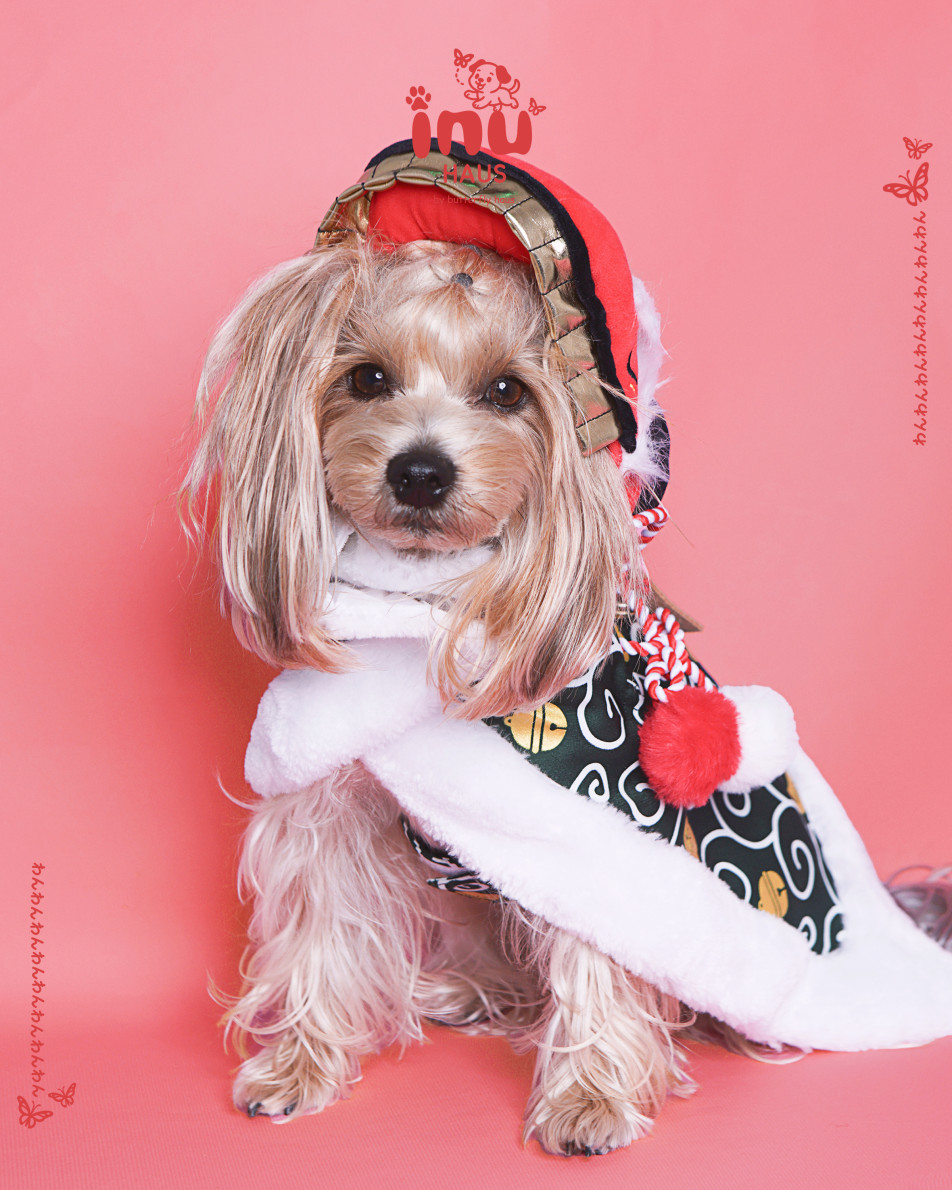 韓国式家族写真フォトスタジオ バタフライハウスなんばの画像