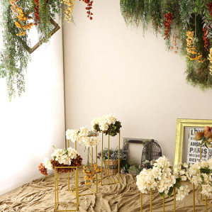 photo efy 宝塚店0の画像