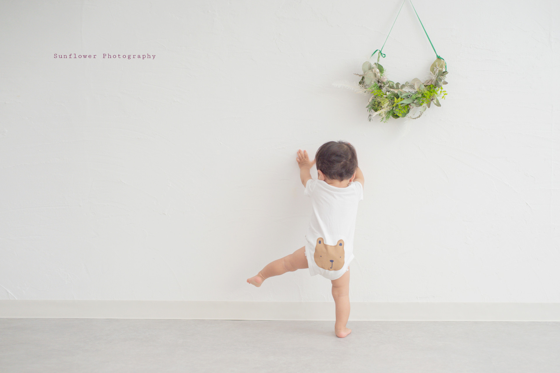 SunflowerPhotography(サンフラワーフォト)のメイン画像