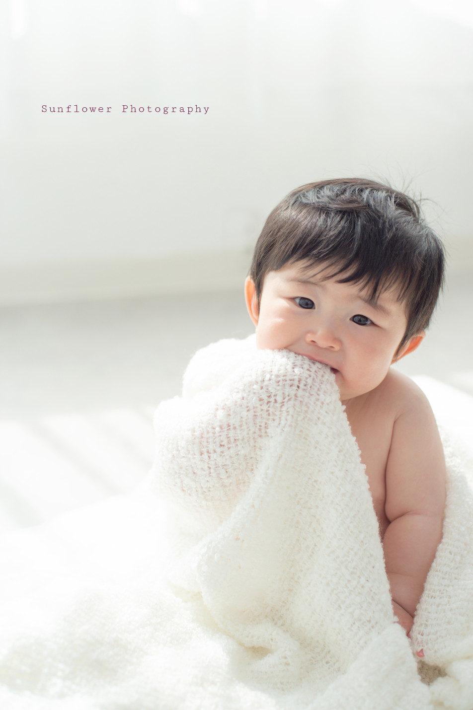 SunflowerPhotography(サンフラワーフォト)の画像