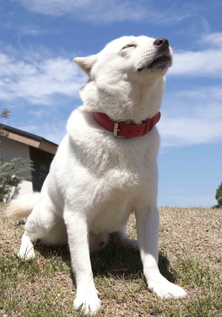 Photo Studio DONCHAの画像