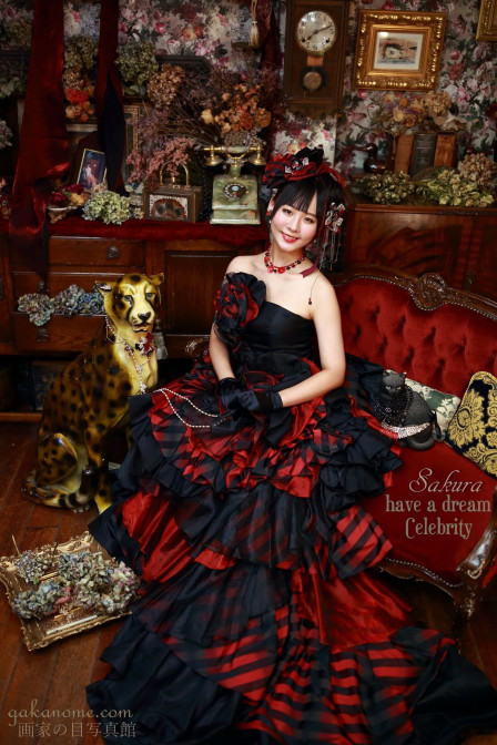 画家の目写真館の画像