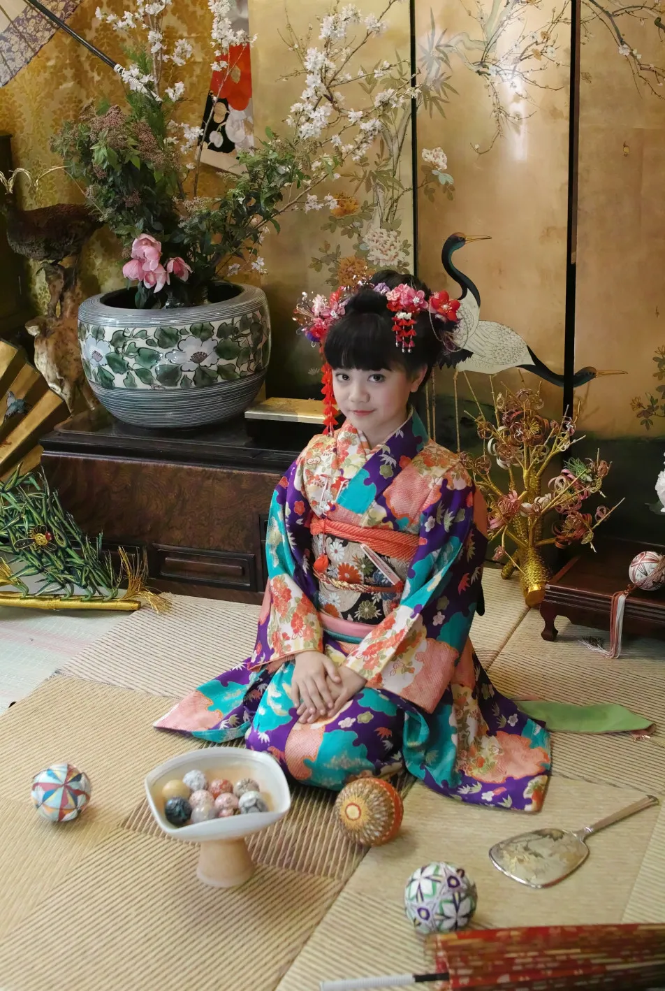 画家の目写真館の画像