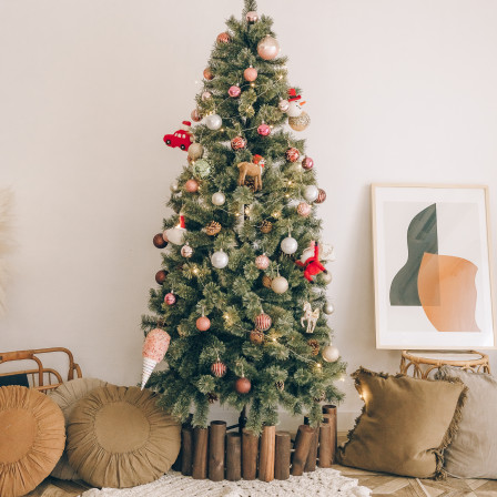 Ricco PHOTO STUDIOの画像