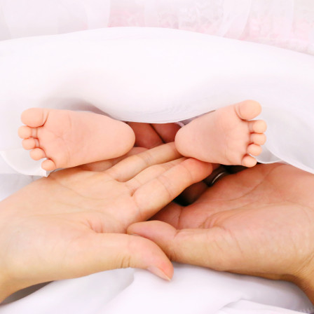 スタジオひまわりの画像