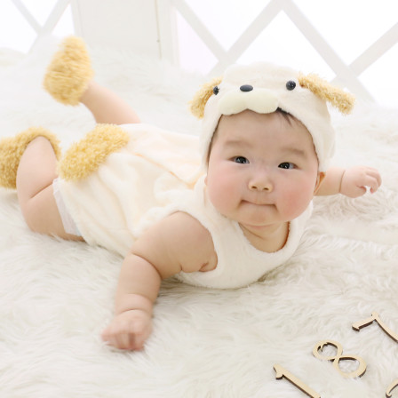 スタジオひまわりの画像