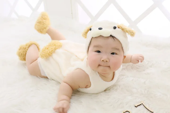 スタジオひまわりの写真4