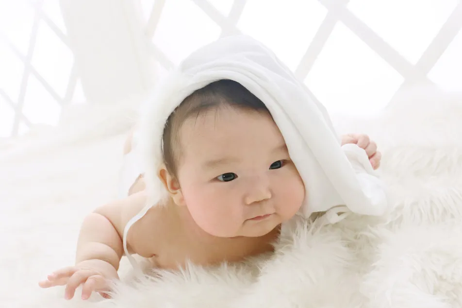 スタジオひまわりの画像