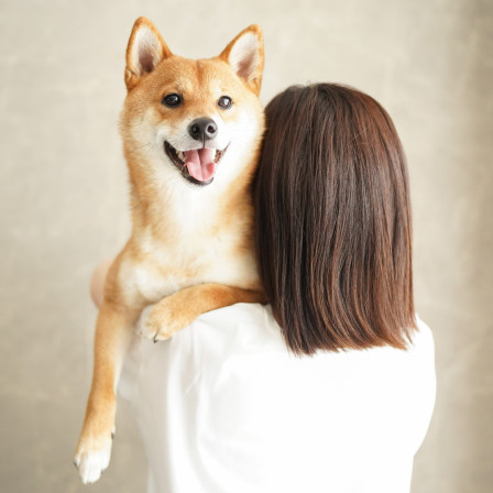 ペットと家族の写真館 STUDIO SIOの画像