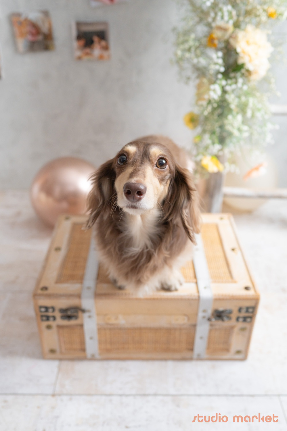 Marshmallow styling/photoのメイン画像