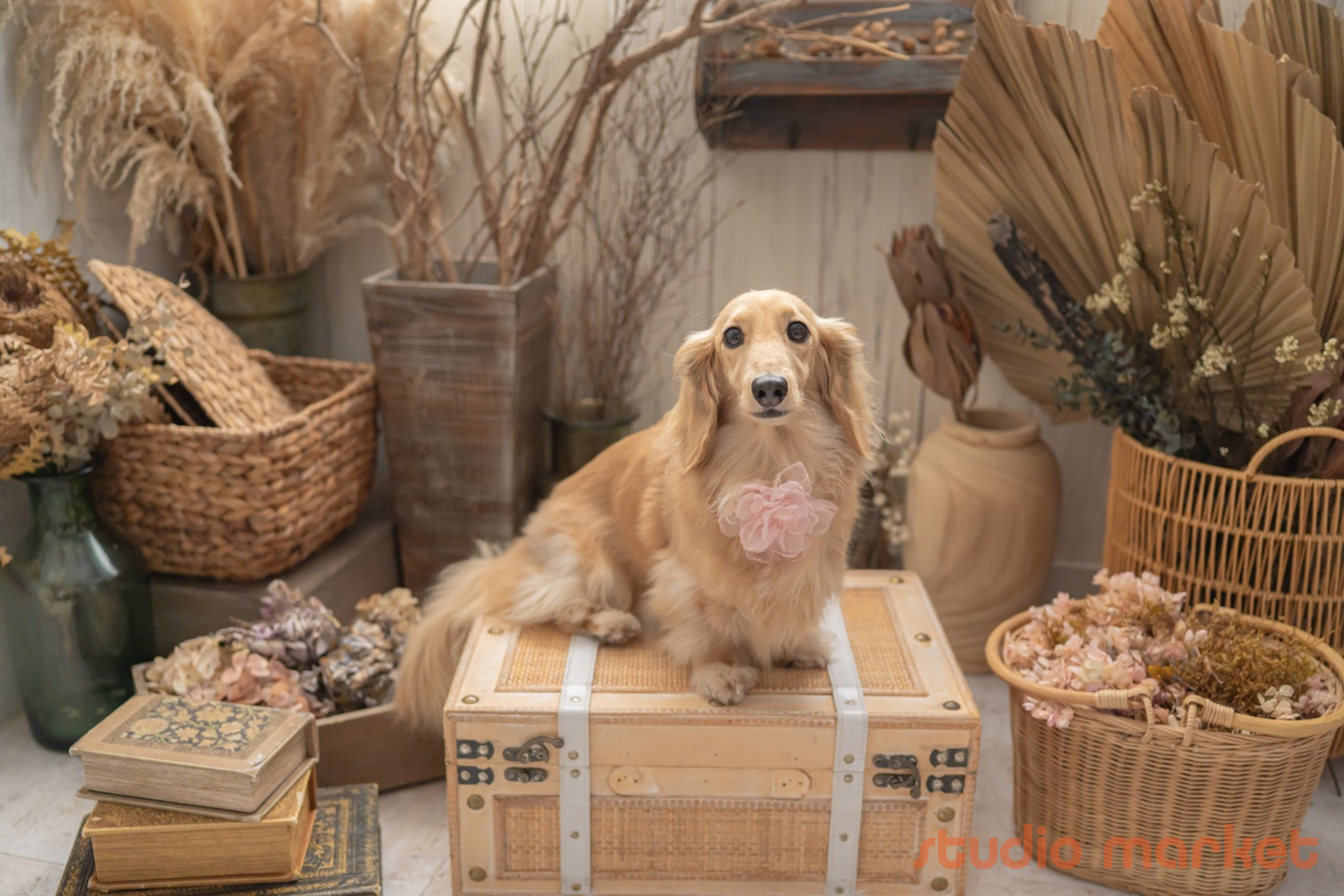 Marshmallow styling/photoのメイン画像