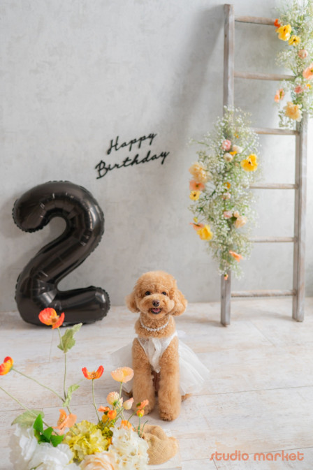 Marshmallow styling/photoの口コミ画像