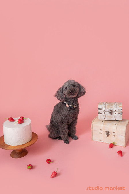 Marshmallow styling/photoの口コミ画像