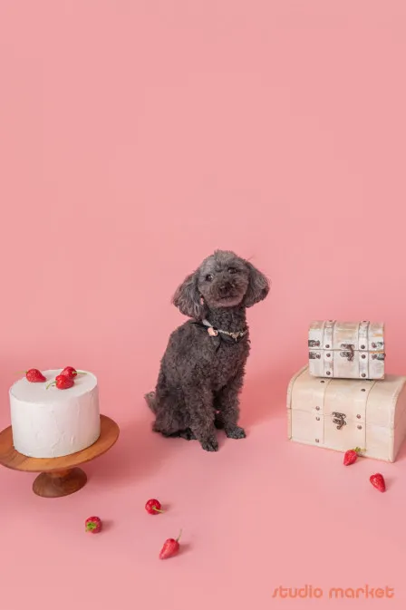 Marshmallow styling/photoの口コミ画像