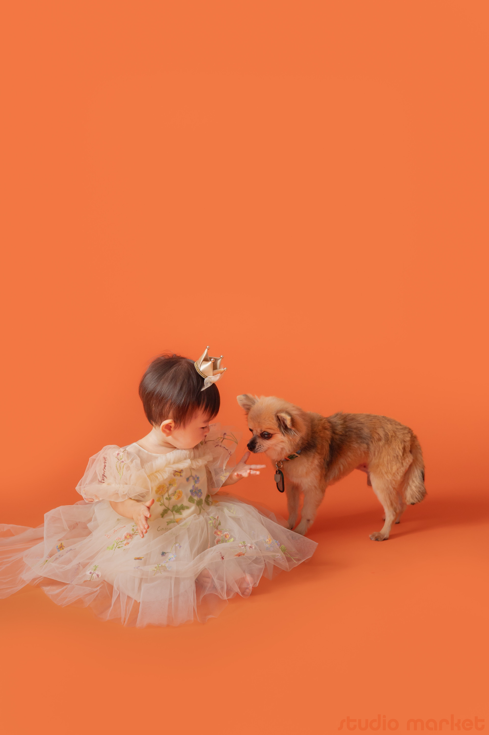 Marshmallow styling/photoのメイン画像