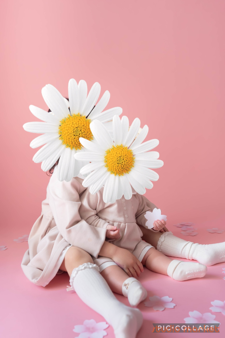 Marshmallow styling/photoの画像