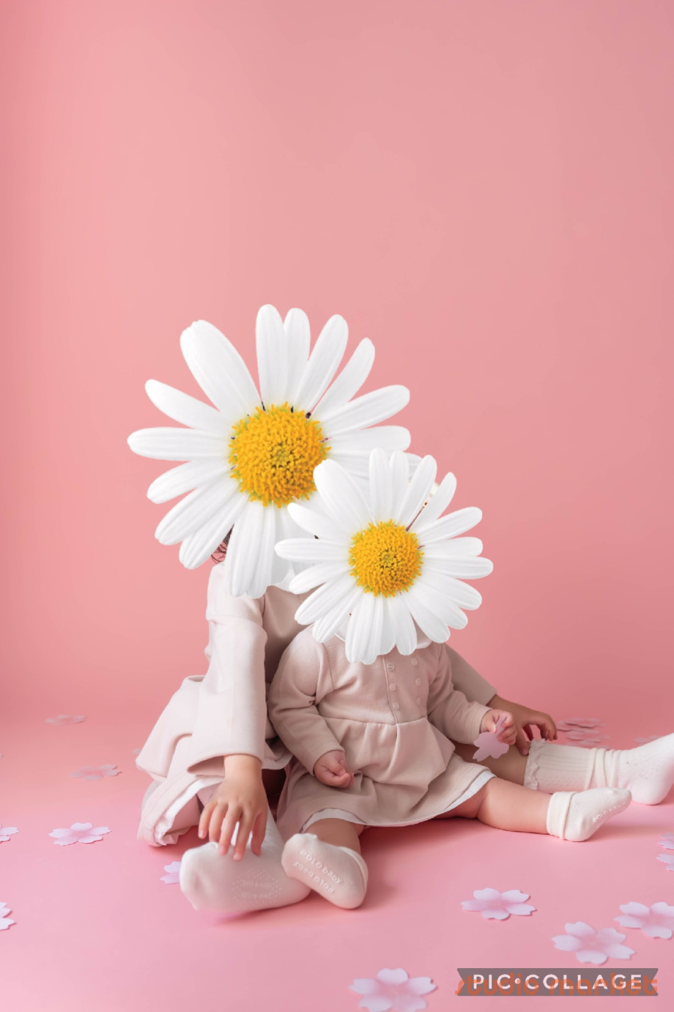 Marshmallow styling/photoの画像