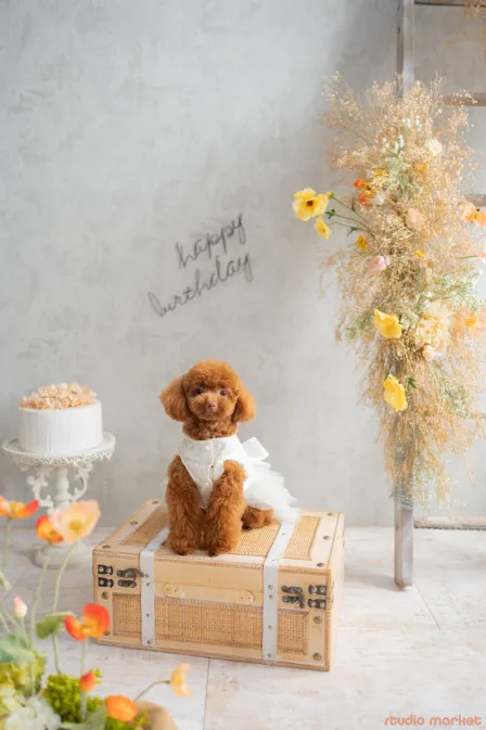 Marshmallow styling/photoの口コミ画像