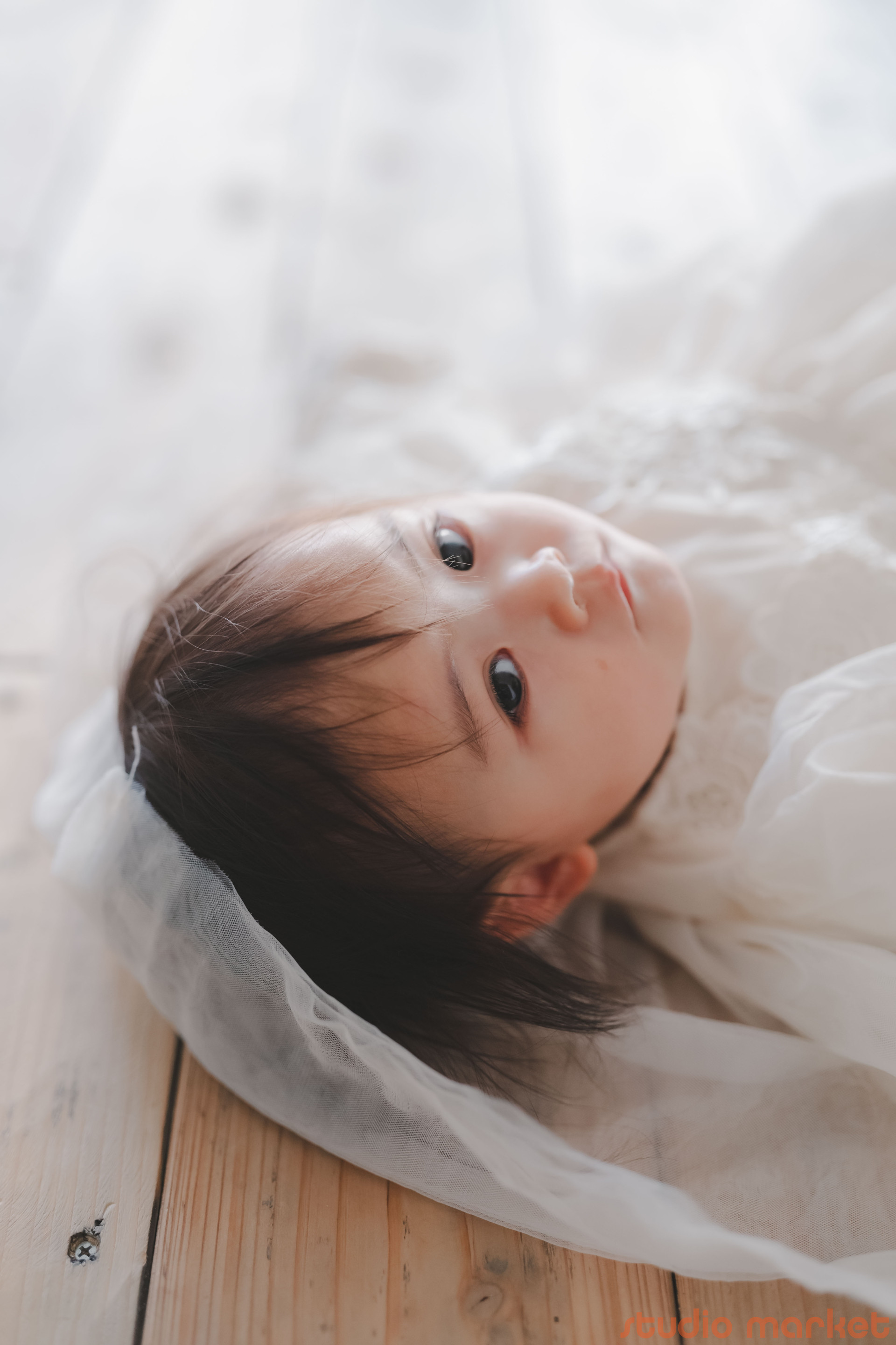 Cobaco Photo Studioのメイン画像