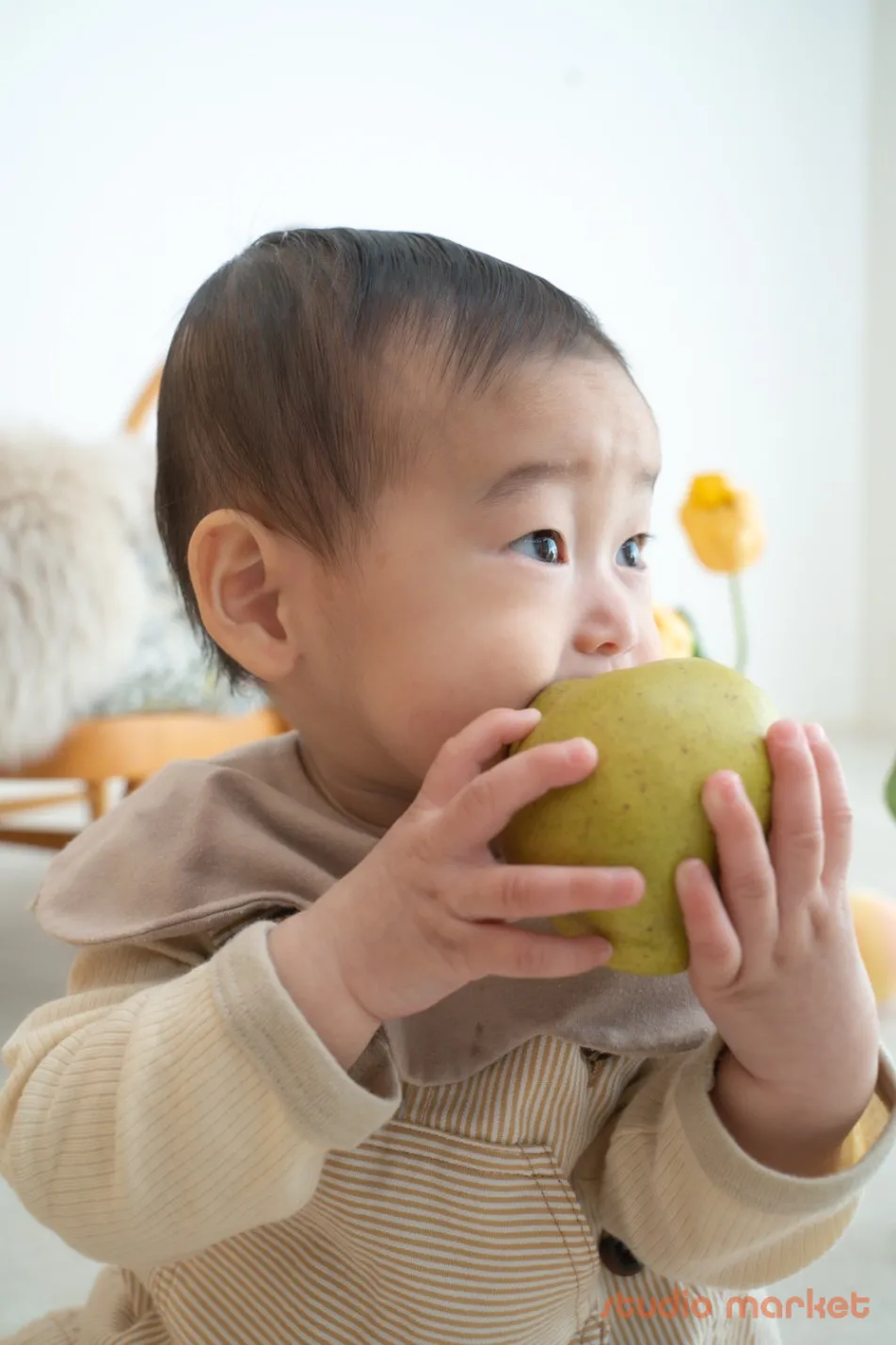 fete￤baby photo studioの画像