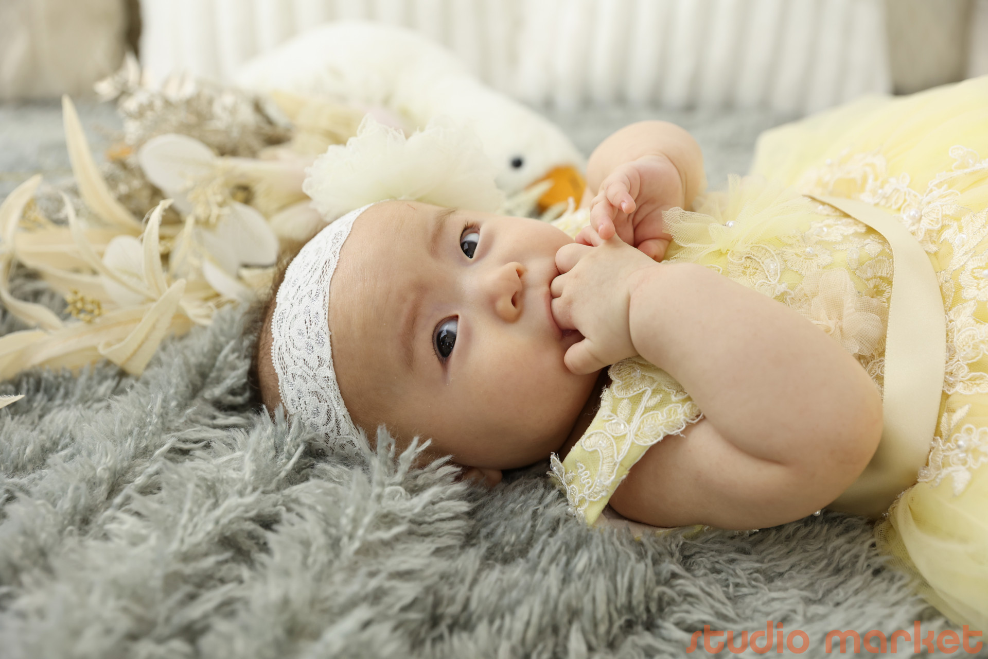 photo efy つかしん店のメイン画像