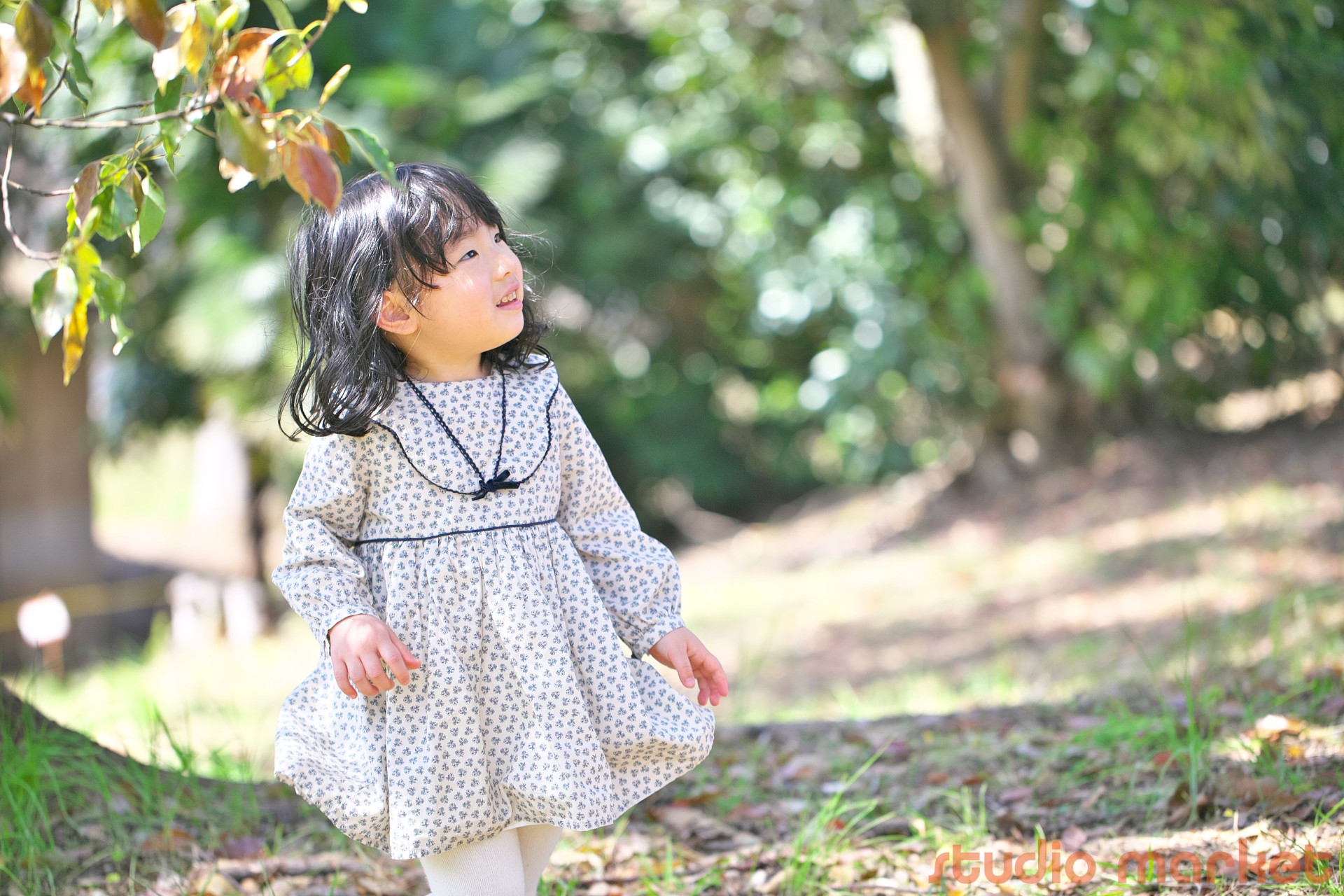 STUDIO撮ろうよのメイン画像