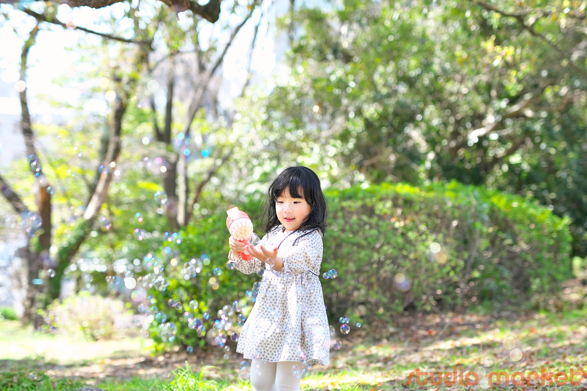 STUDIO撮ろうよのメイン画像